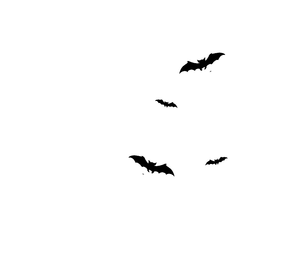AltingerLC logo